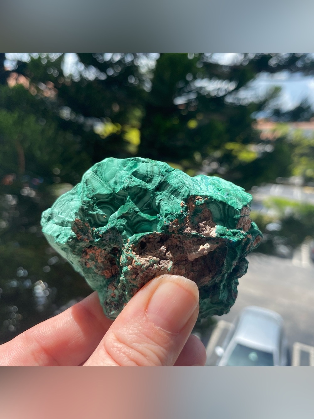 Large Botryoidal Malachite - Picture 6 of 16